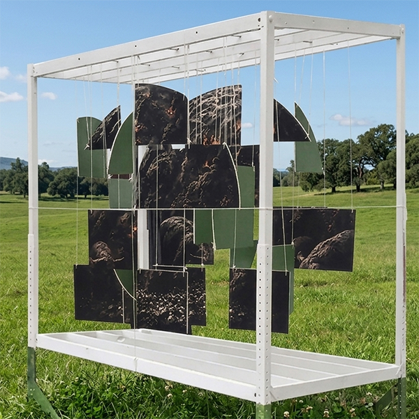 Bild-Collage